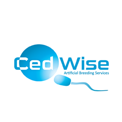 Advertisement 3 advertising_section_section__1